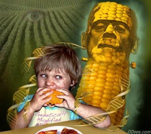 Monsanto's GM Corn Suspended In Russia