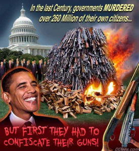 gun confiscation