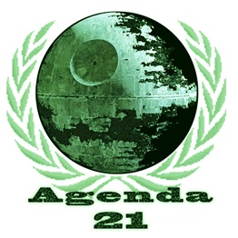 Direct link between Agenda 21 and local planners