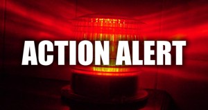 Action Alert