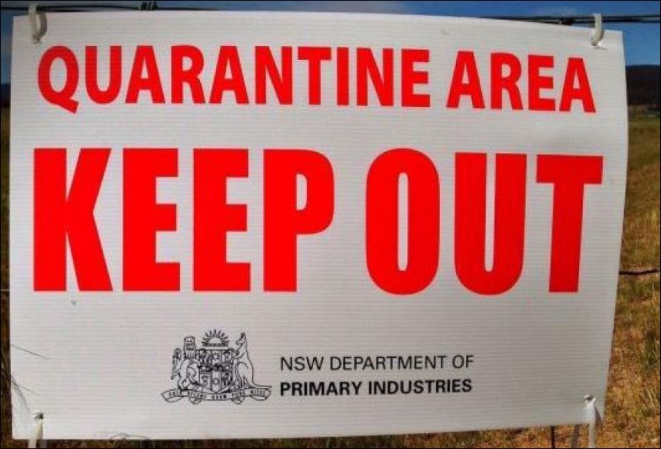 Quarantine