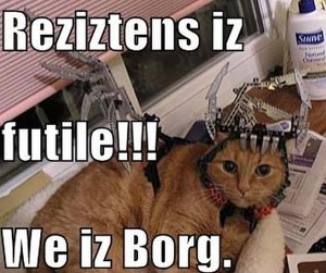 Kitteh Borg