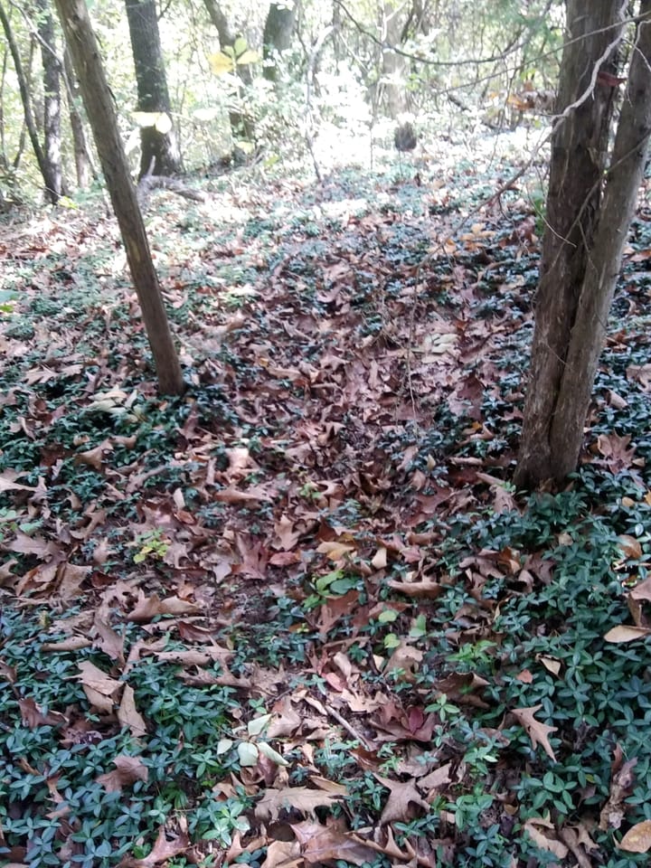 The Bureaucratic Axe ★​ Rooting Out Self-Reliance