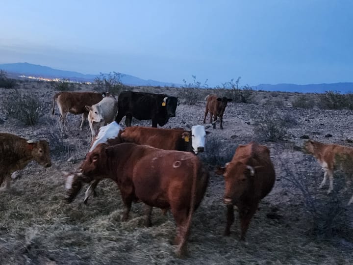 The Real Constitutional Battle for the Western Range