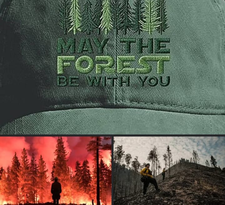 The Modern Wildfire Crisis and the Myth of the Untouched Forest