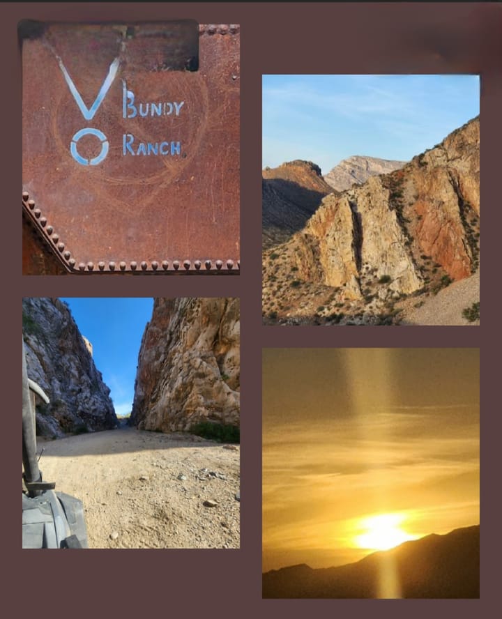 Generation vs. Regulation ★ The War on American Rangelands: Voices from the Land