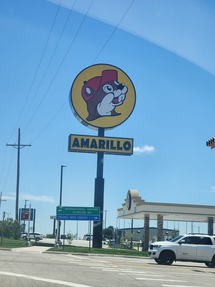 Buc-ed Out in Georgia ☆ Ticked Off in Texas​